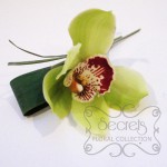 Fresh Green Cymbidium Orchid with Wiring Design and Diamond Pin (Top-View)