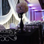 Crystal Rain Panel on Backdrop is Enhanced with White Spotlights