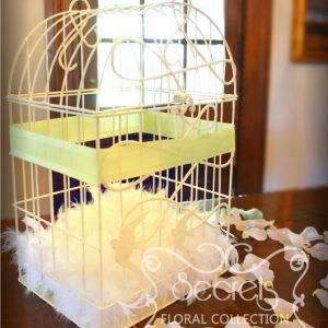 Bird Cage Money Box, Embellished with Light Green Ribbon
