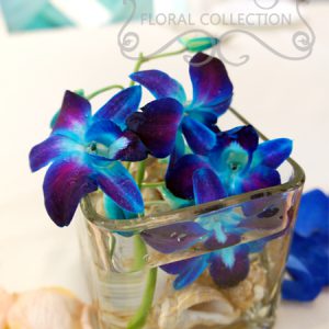 Close-up of head table arrangement made with blue dendrobium orchid and seashells