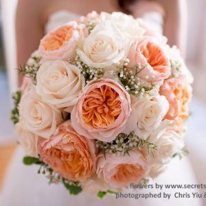 Fresh peach garden roses (David Austin Juliet and Campanella), cream roses, white wax flower, and baby's breath bridal bouquet - Toronto Wedding Flowers by Secrets Floral Collection